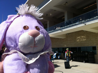 Fluffy, Queen of Pit Lane.
